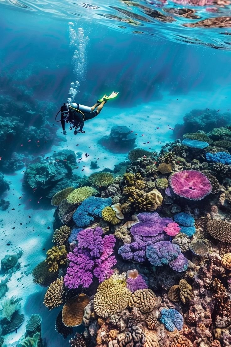 Scuba Diving in the Great Barrier Reef